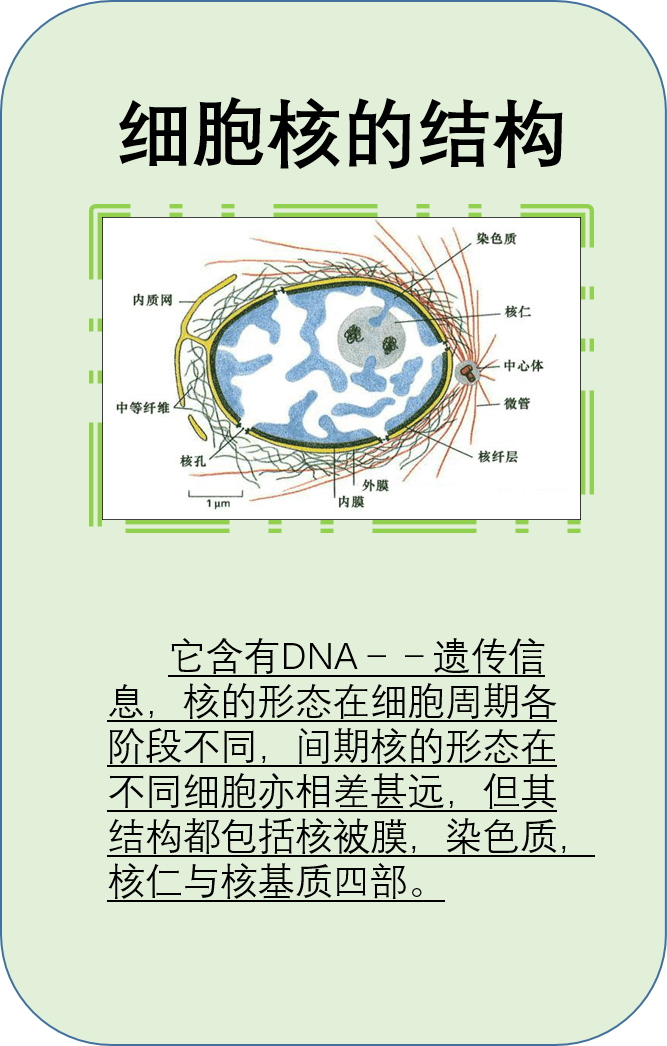 结构