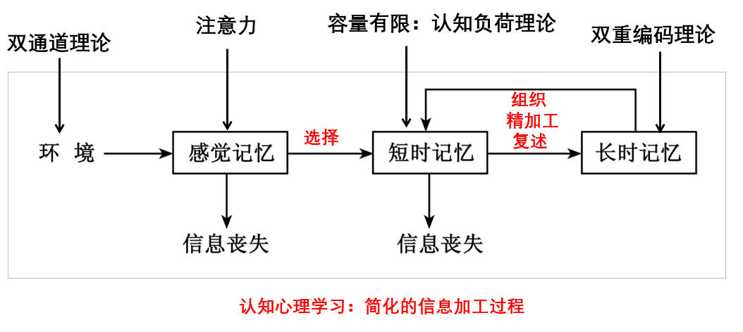 信息加工.jpg